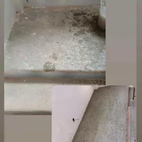Bild von Portofino Servizi - Impresa di pulizie Pavia