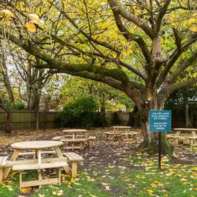 Bild von The Woodlands