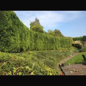 Bild von De Rose Garden & Property Services Ltd