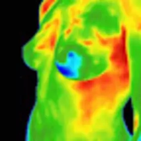 Bild von DFW Thermography, Inc