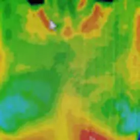 Bild von DFW Thermography, Inc