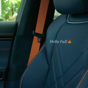 Bild von Genesis of Tulsa