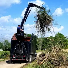 Bild von Green Leaf Tree Service