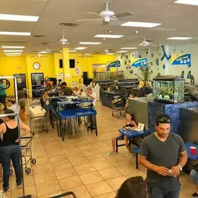 Bild von Killian Laundromat