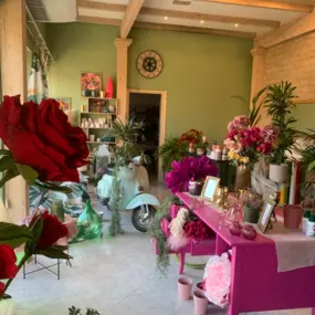 Gallery Cliente