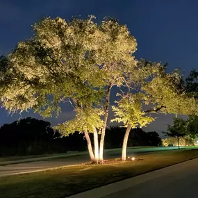 Bild von Astoria Lighting Co - Round Rock