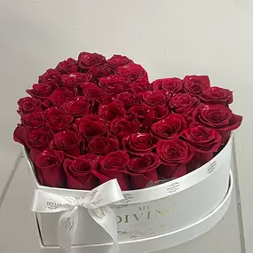 Bild von My Divine Decors LLC