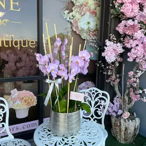 Bild von My Divine Decors LLC