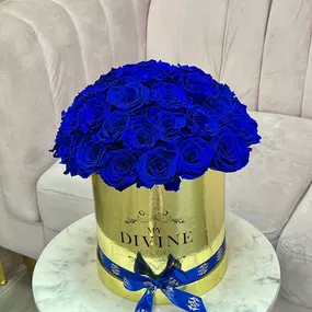 Bild von My Divine Decors LLC