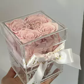 Bild von My Divine Decors LLC