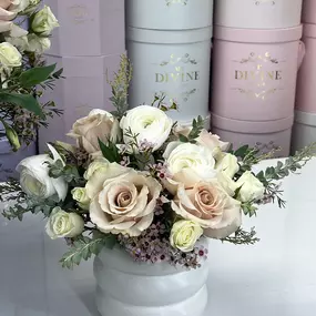 Bild von My Divine Decors LLC