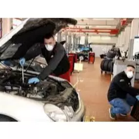 Bild von Musterunternehmen