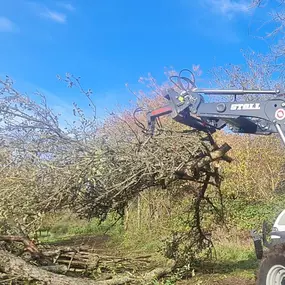 Bild von Zengerle Landschafts.- und Gartenpflege