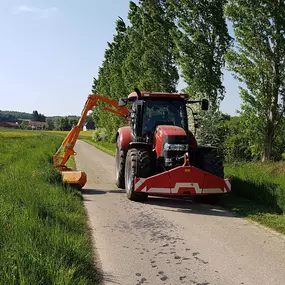 Bild von Zengerle Landschafts.- und Gartenpflege