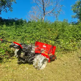 Bild von Zengerle Landschafts.- und Gartenpflege