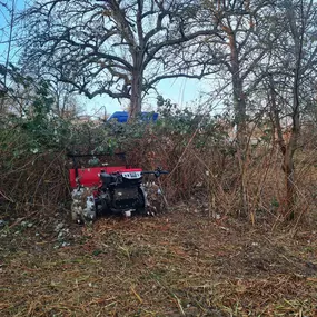 Bild von Zengerle Landschafts.- und Gartenpflege