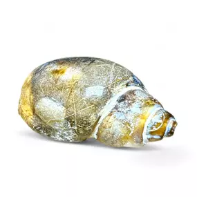 Bild von Crystals & Reiki