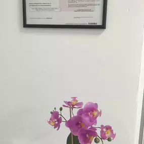 Bild von Psicología y Logopedia Kangae