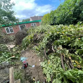 Bild von Dacorum Builders Ltd