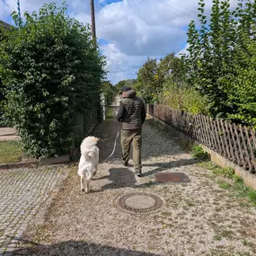 Hundeschule München-Nord