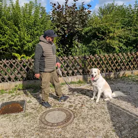 Hundeschule München-Nord