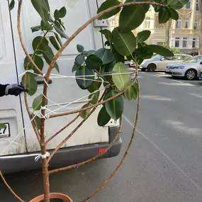 Bild von SpitzenRein Haushaltsauflösungen, Umzüge, Gebäudereinigung