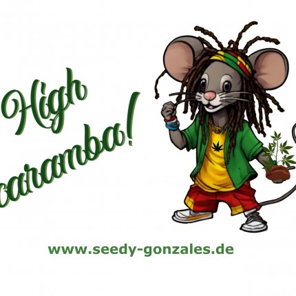 Logo de Seedy Gonzales