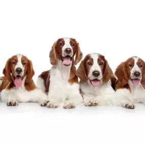 Bild von Minster Veterinary Centre Ltd