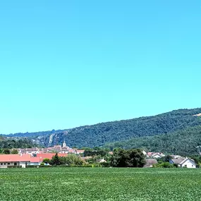 Bild von Agence immobilière Le Chêne