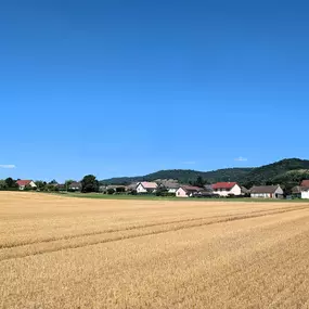 Bild von Agence immobilière Le Chêne