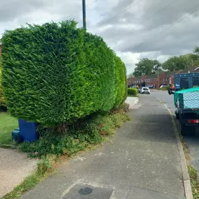 Bild von Woodlands Tree and Garden Services