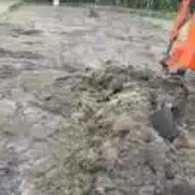 Bild von Woodlands Tree and Garden Services