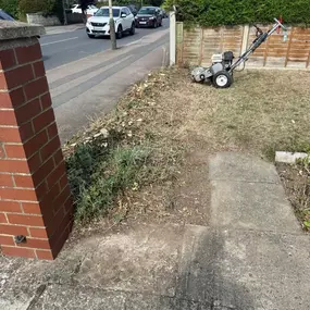 Bild von Woodlands Tree and Garden Services