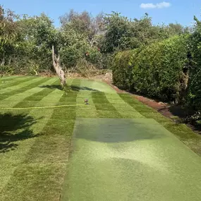 Bild von Woodlands Tree and Garden Services