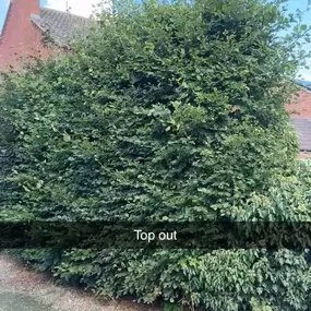 Bild von Woodlands Tree and Garden Services