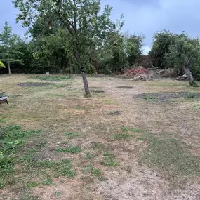 Bild von Woodlands Tree and Garden Services