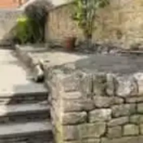 Bild von Woodlands Tree and Garden Services