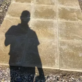 Bild von Woodlands Tree and Garden Services