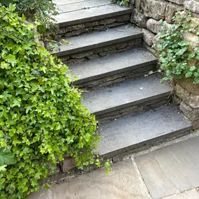 Bild von Woodlands Tree and Garden Services