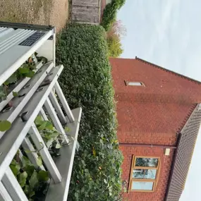 Bild von Woodlands Tree and Garden Services