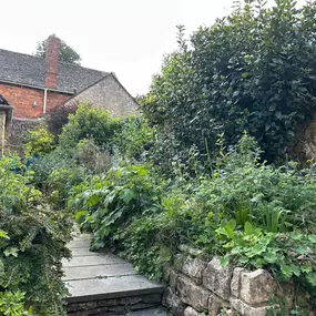 Bild von Woodlands Tree and Garden Services