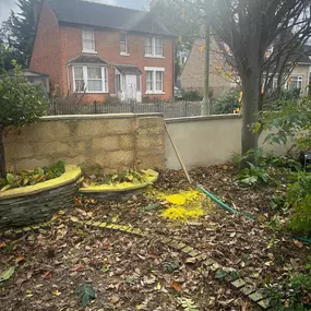 Bild von Woodlands Tree and Garden Services