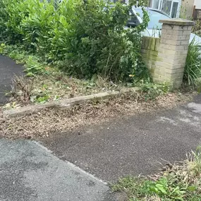 Bild von Woodlands Tree and Garden Services