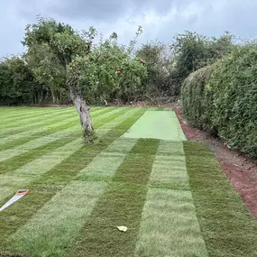 Bild von Woodlands Tree and Garden Services