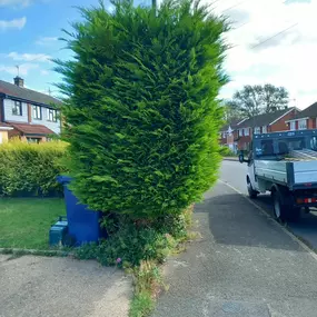 Bild von Woodlands Tree and Garden Services