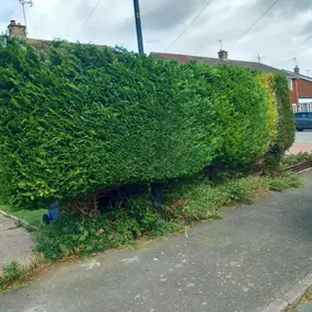 Bild von Woodlands Tree and Garden Services