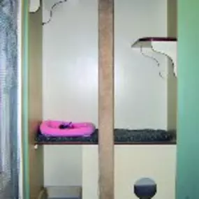 Bild von The Cat's Cradle