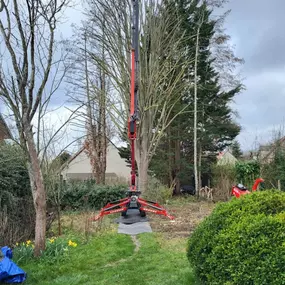 Bild von MAYER EDM élagage Normandie