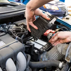 Bild von Luther Hopkins Honda