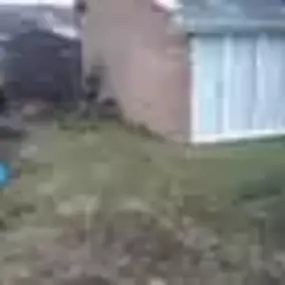 Bild von Vaughan Waste Services